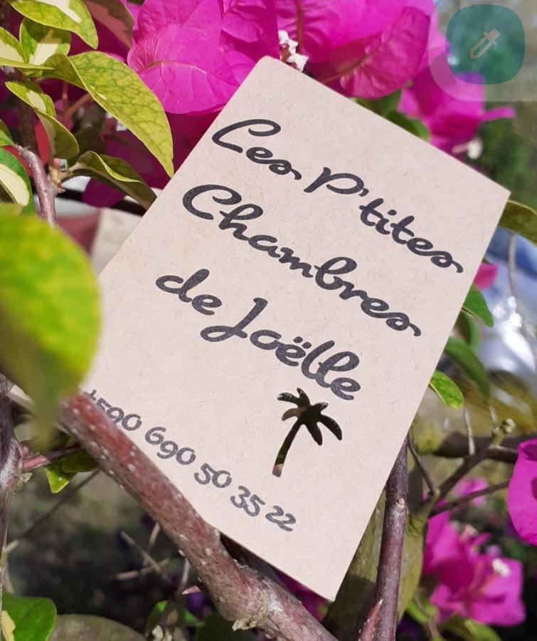 P'Tites Chambres Dans La Campagne De Marie Galante Grand-Bourg  Dış mekan fotoğraf